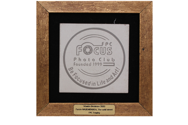 FPC Trophy / Russia / for “ The cold street “ 1st Maxim DmitrIev  2020 International Exhibition of Photography